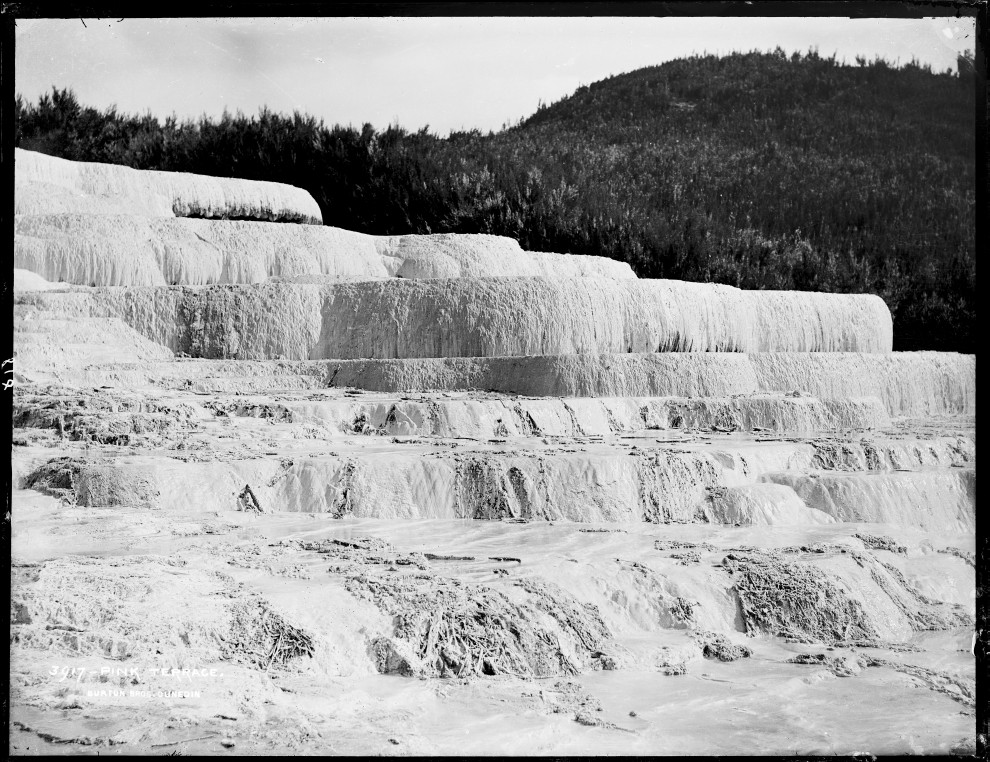 Pink Terraces